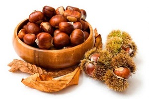 horse chestnut for treatment of prostatitis